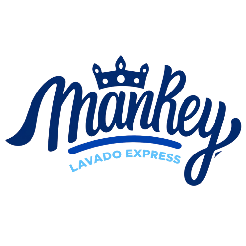 LAVANDERIA MANREY AV. ECOLOGICA